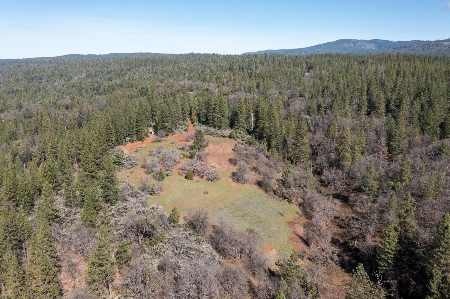 Bear Creek Road, Garden Valley, California image 21