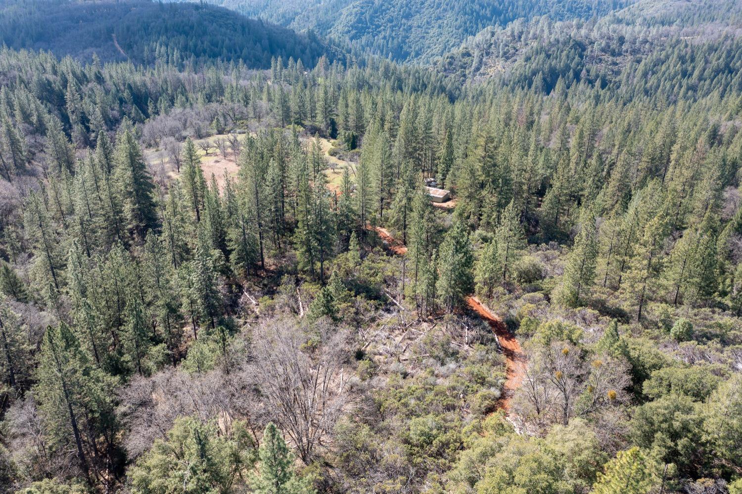 Bear Creek Road, Garden Valley, California image 18