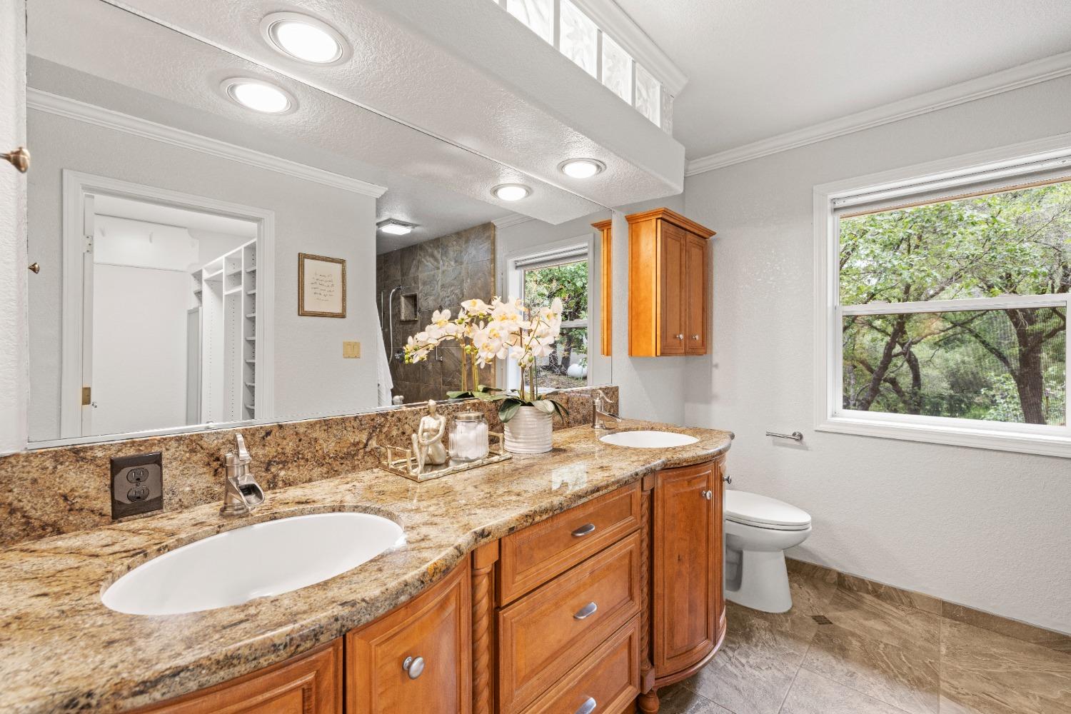 Detail Gallery Image 22 of 69 For 2060 Onion Flat, Cool,  CA 95614 - 4 Beds | 3 Baths