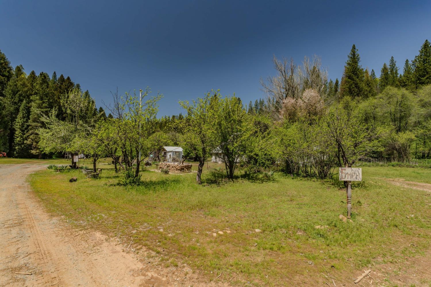 Detail Gallery Image 36 of 57 For 7250 Mitchell Mill Rd, Wilseyville,  CA 95257 - 3 Beds | 1 Baths