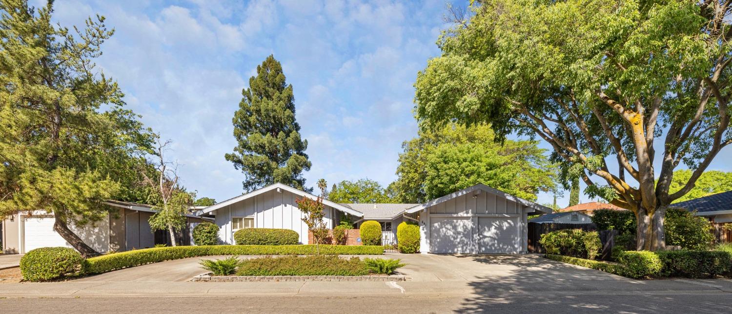 Cleveland Street, Davis, California image 3