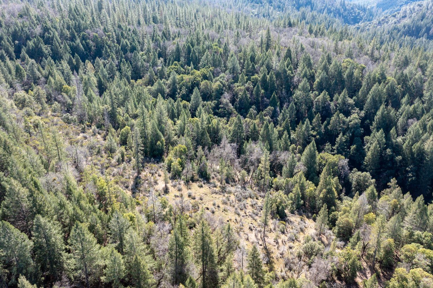 Bear Creek Road, Garden Valley, California image 17