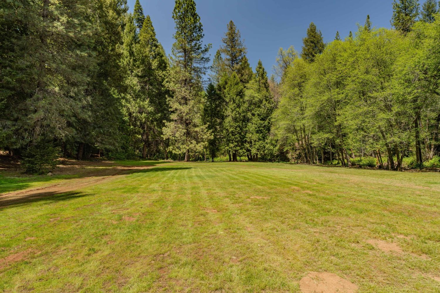 Detail Gallery Image 25 of 57 For 7250 Mitchell Mill Rd, Wilseyville,  CA 95257 - 3 Beds | 1 Baths
