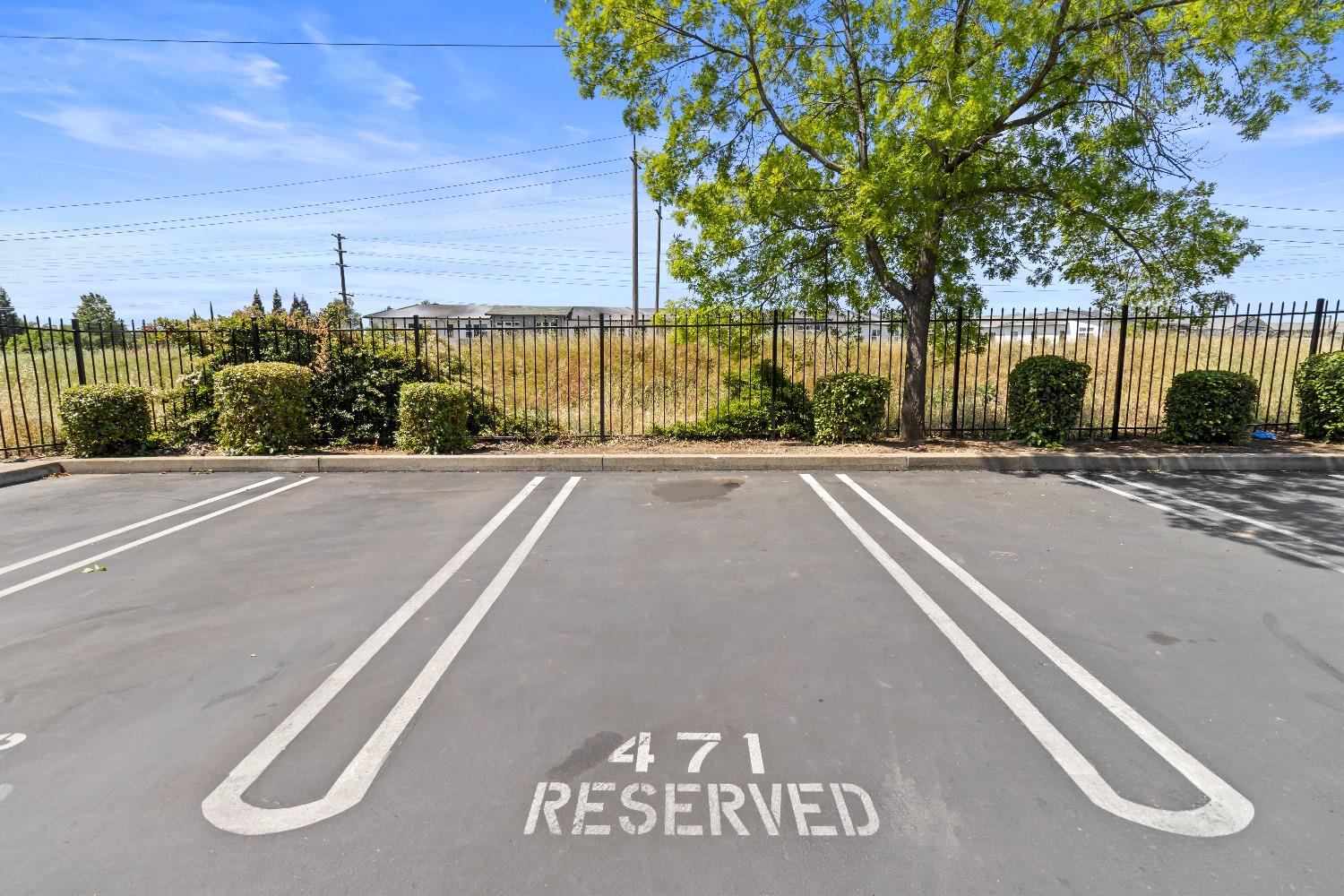 Photo #31: 225032863 Listing: Photo #31