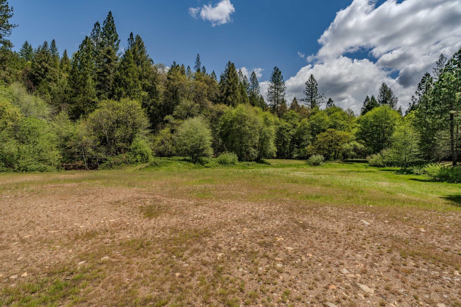 Detail Gallery Image 52 of 57 For 7250 Mitchell Mill Rd, Wilseyville,  CA 95257 - 3 Beds | 1 Baths