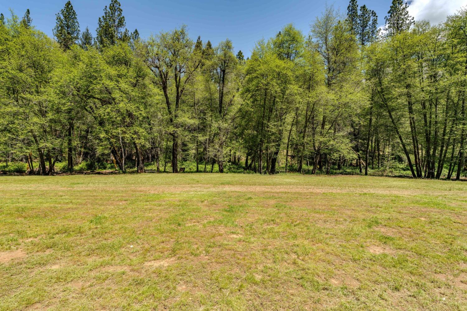 Detail Gallery Image 27 of 57 For 7250 Mitchell Mill Rd, Wilseyville,  CA 95257 - 3 Beds | 1 Baths