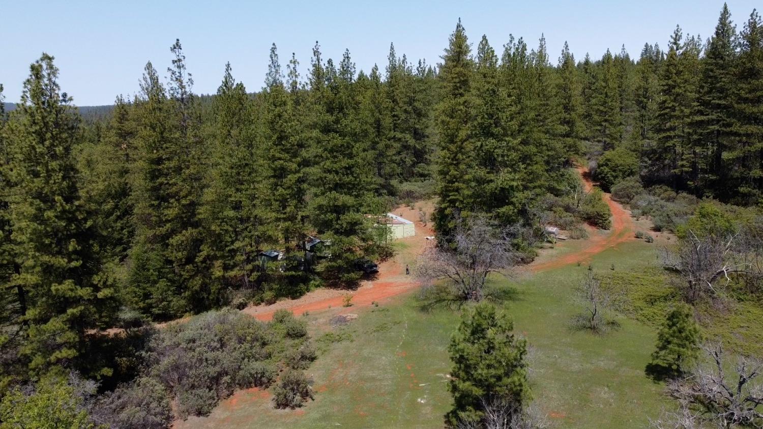Bear Creek Road, Garden Valley, California image 8