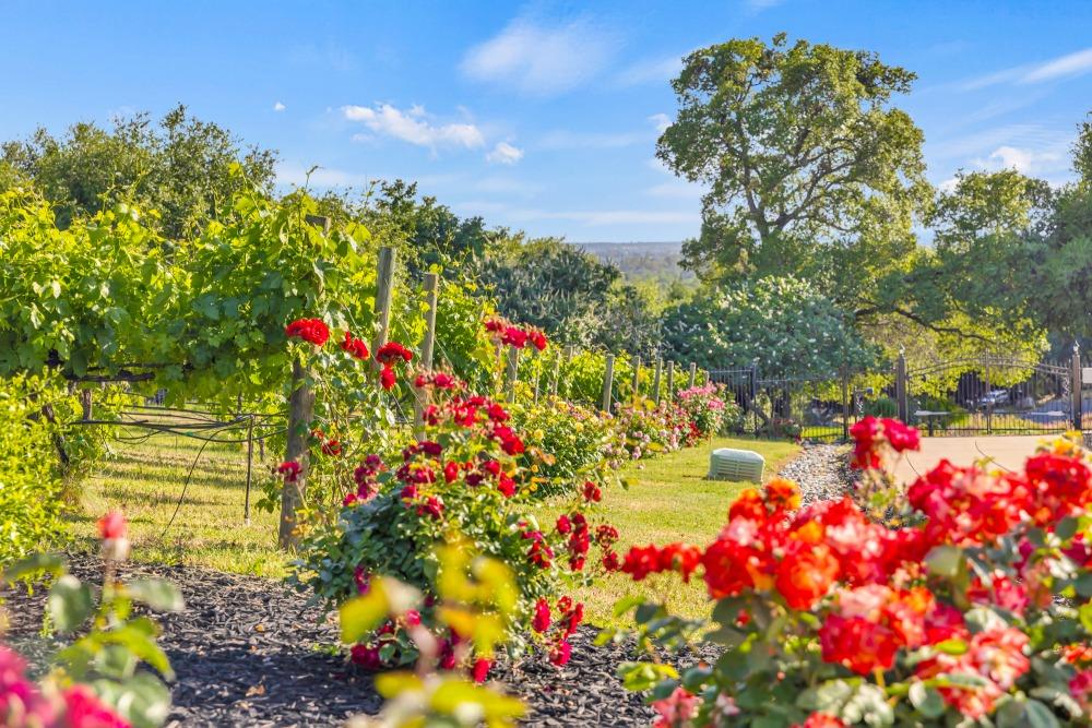 Detail Gallery Image 61 of 65 For 7543 Old Pear Hill Ln, Penryn,  CA 95663 - 5 Beds | 4/2 Baths