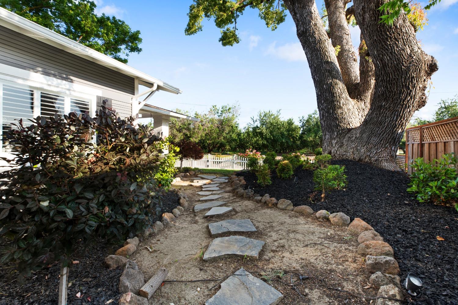 Detail Gallery Image 69 of 90 For 2420 Vine Ave, Escalon,  CA 95320 - 3 Beds | 2 Baths