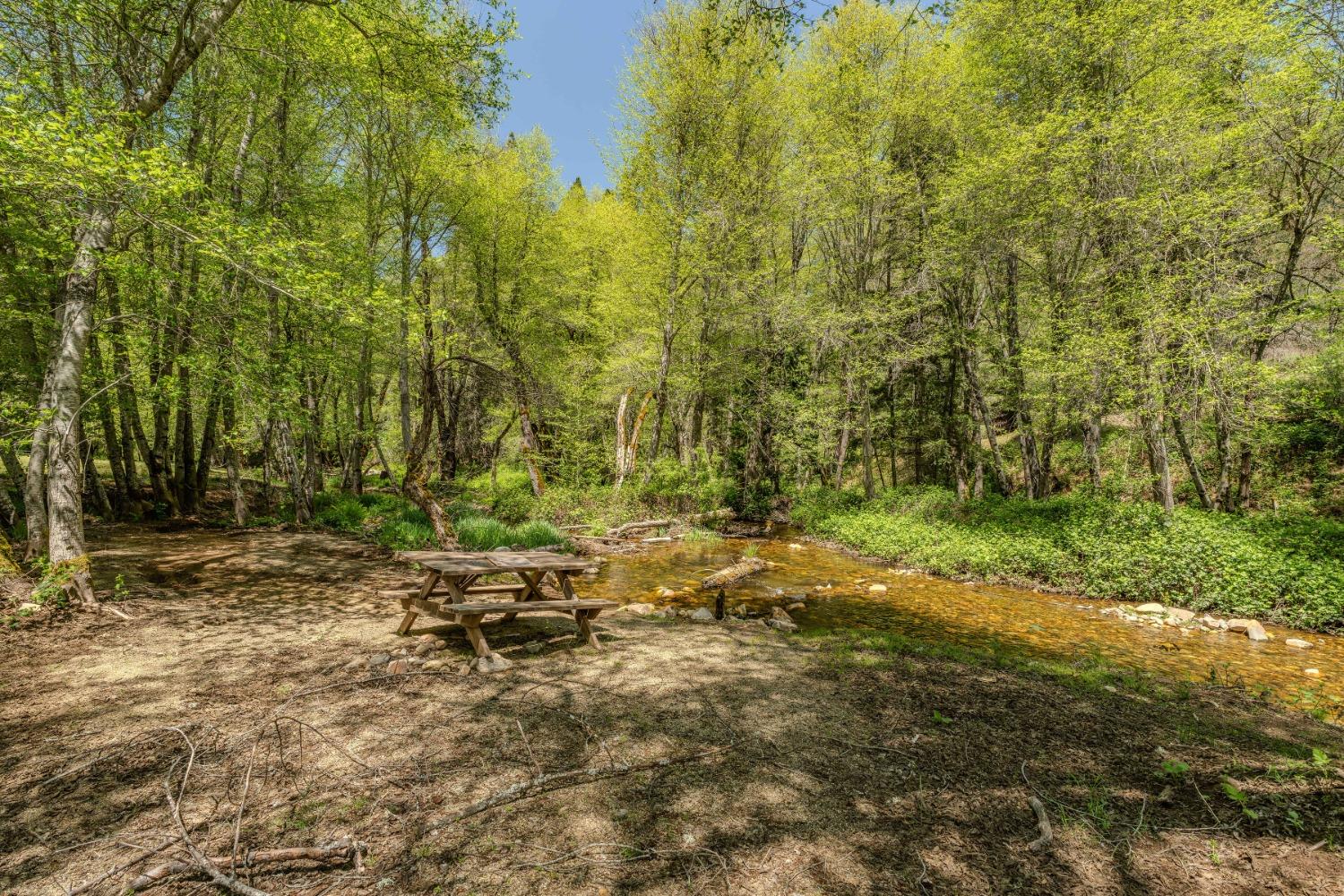 Detail Gallery Image 20 of 57 For 7250 Mitchell Mill Rd, Wilseyville,  CA 95257 - 3 Beds | 1 Baths