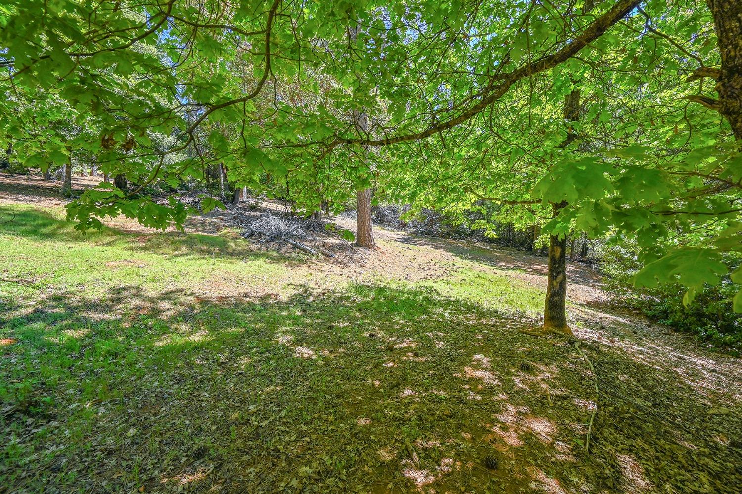 Buckeye Court, Placerville, California image 39