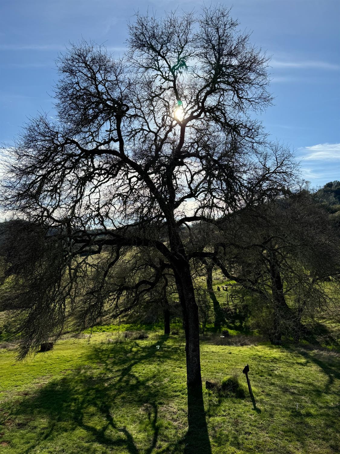 Indian Rock Road, Cool, California image 25