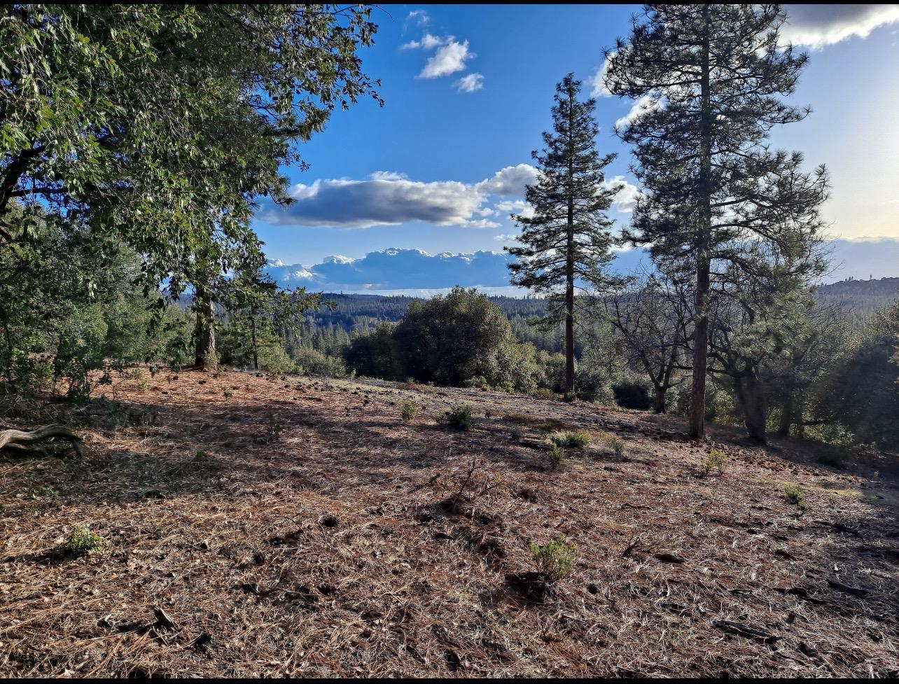 Fiske Hill Road, Coulterville, California image 19