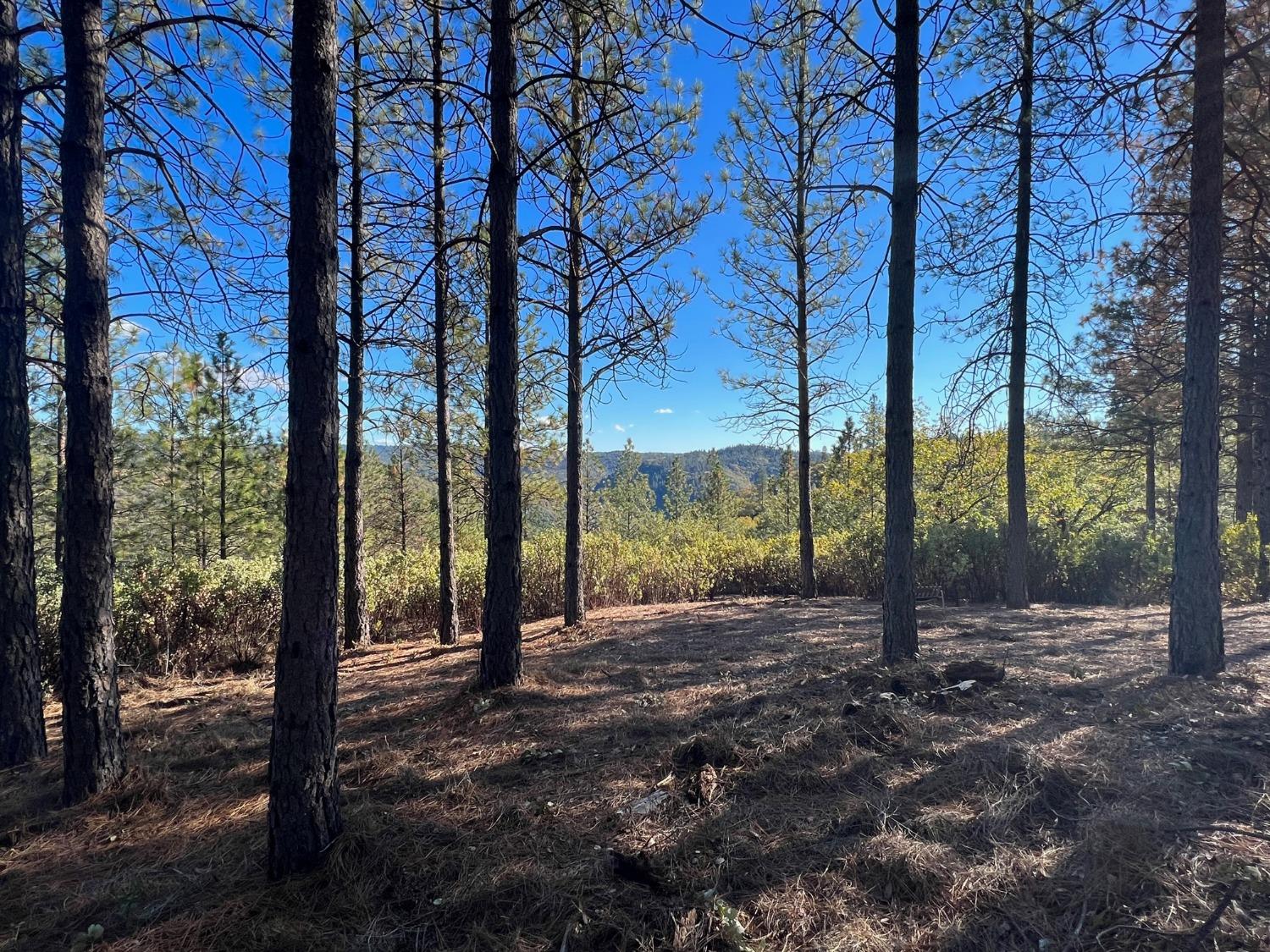 Detail Gallery Image 3 of 9 For 15375 Cliff Rd, Nevada City,  CA 95959 - – Beds | – Baths
