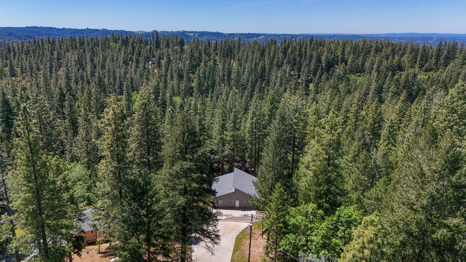 Buckeye Court, Placerville, California image 42