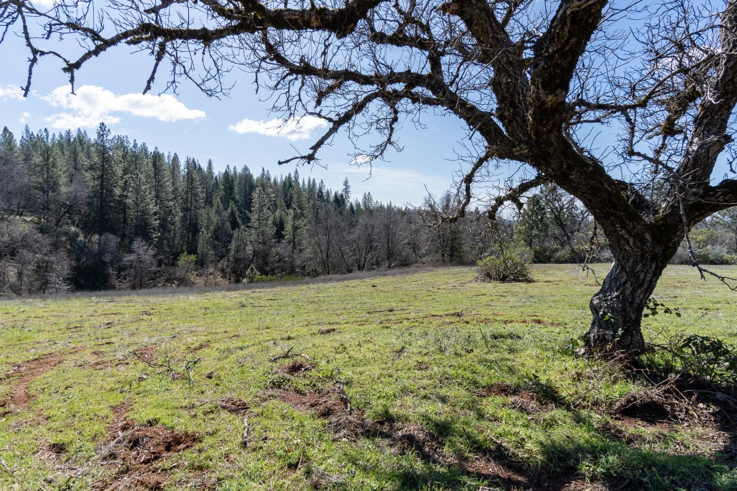 Bear Creek Road, Garden Valley, California image 45