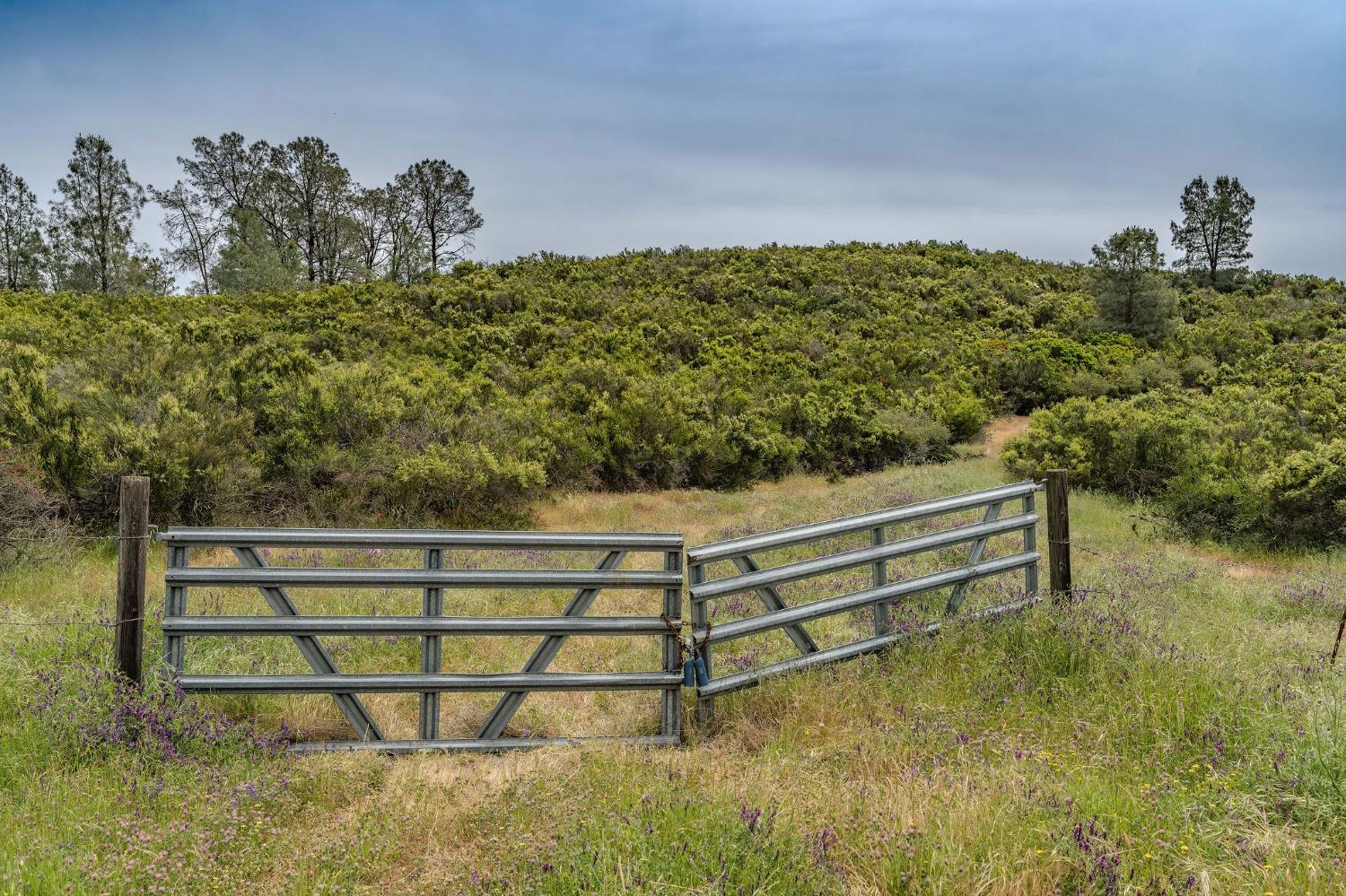 Detail Gallery Image 8 of 50 For 0 Ranchero Rd, Valley Springs,  CA 95252 - – Beds | – Baths