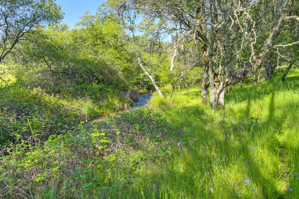 Detail Gallery Image 50 of 63 For 0 Atwood, Auburn,  CA 95603 - – Beds | – Baths