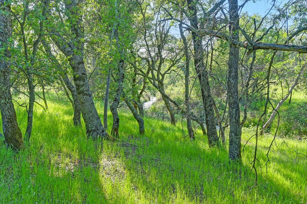 Detail Gallery Image 57 of 63 For 0 Atwood, Auburn,  CA 95603 - – Beds | – Baths