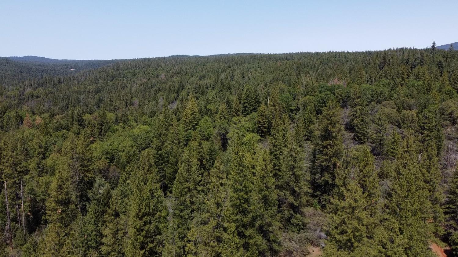 Bear Creek Road, Garden Valley, California image 7