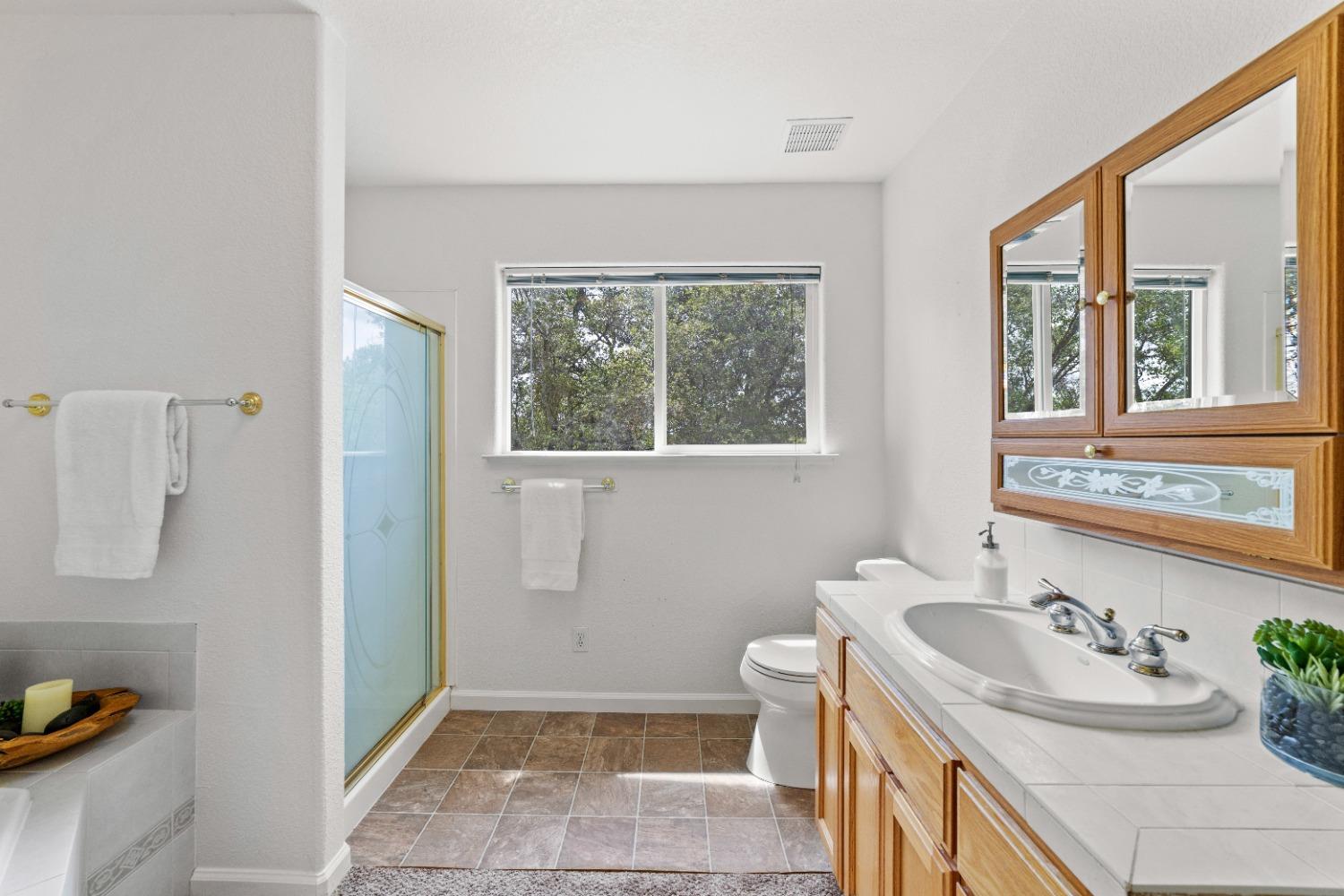 Detail Gallery Image 74 of 99 For 6825 Monitor Ct, El Dorado,  CA 95623 - 5 Beds | 3 Baths