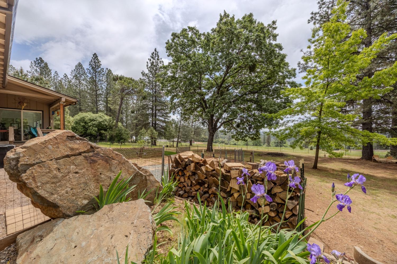 Detail Gallery Image 30 of 39 For 19560 Mella Drive, Volcano,  CA 95689 - 2 Beds | 2/1 Baths