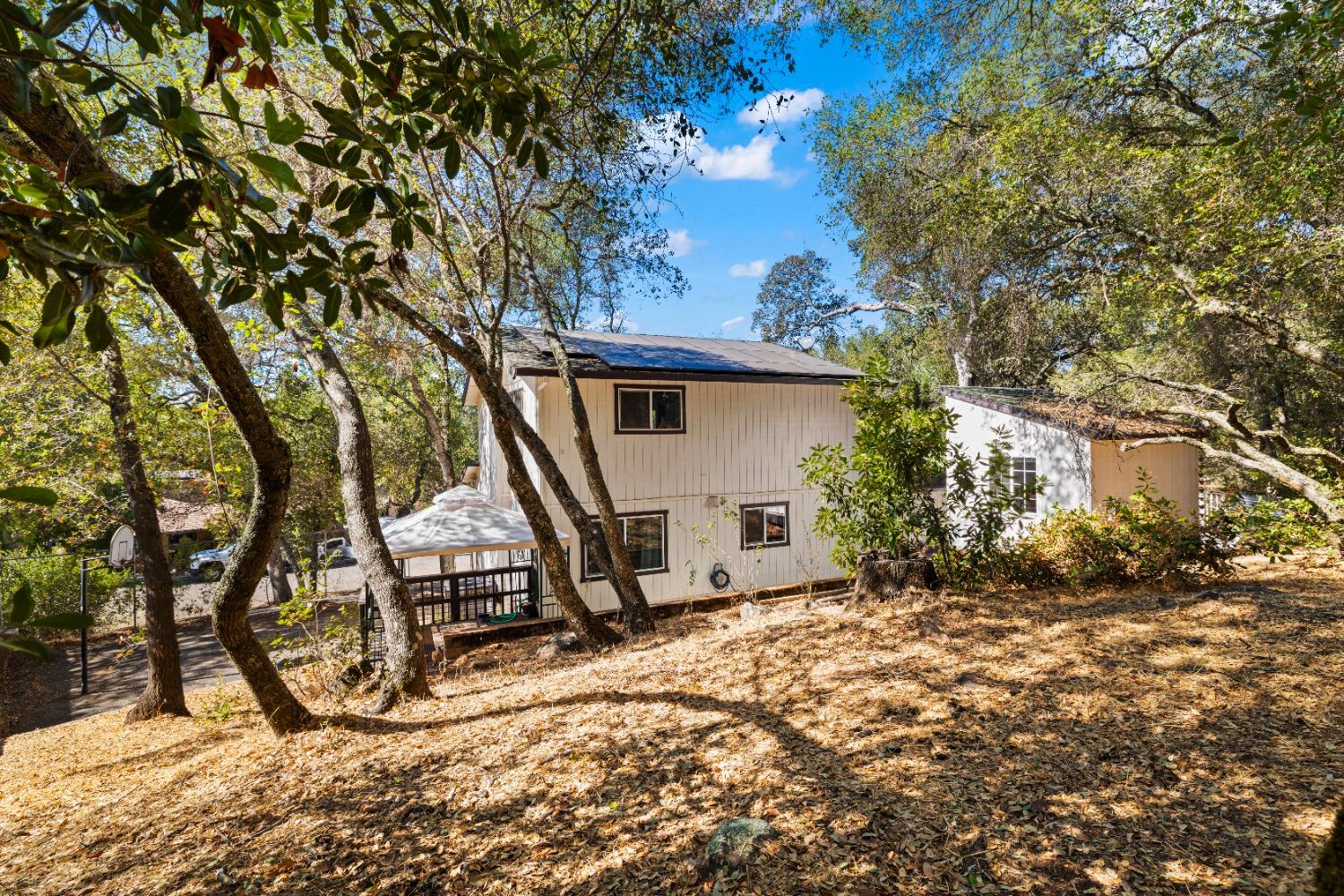 Detail Gallery Image 38 of 45 For 3375 Braniff Ct. Ct, Cameron Park,  CA 95682 - 4 Beds | 2/1 Baths
