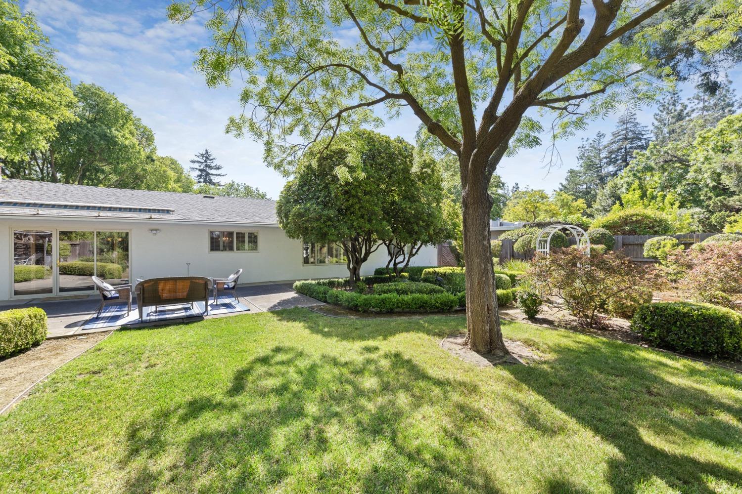 Cleveland Street, Davis, California image 38