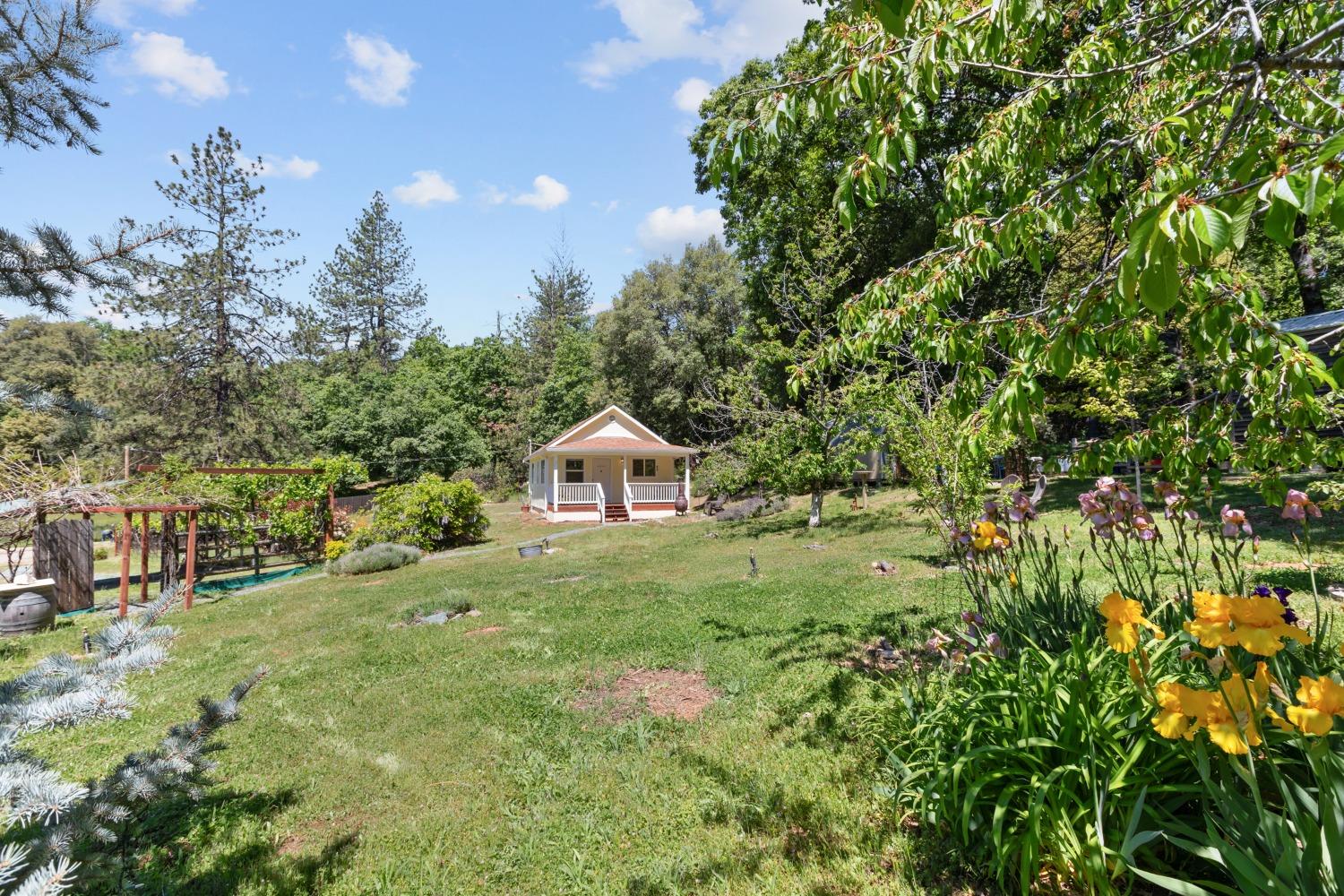 Detail Gallery Image 3 of 28 For 129 Snead Road, West Point,  CA 95255 - 1 Beds | 1 Baths