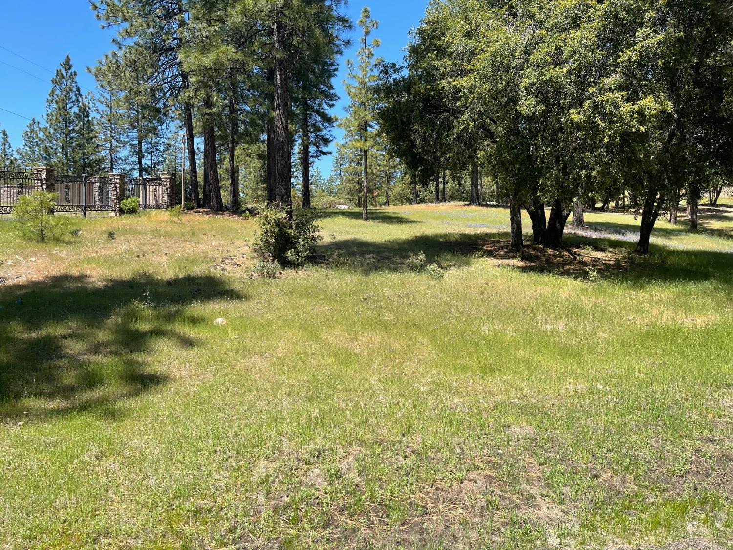 Fiske Hill Road, Coulterville, California image 13