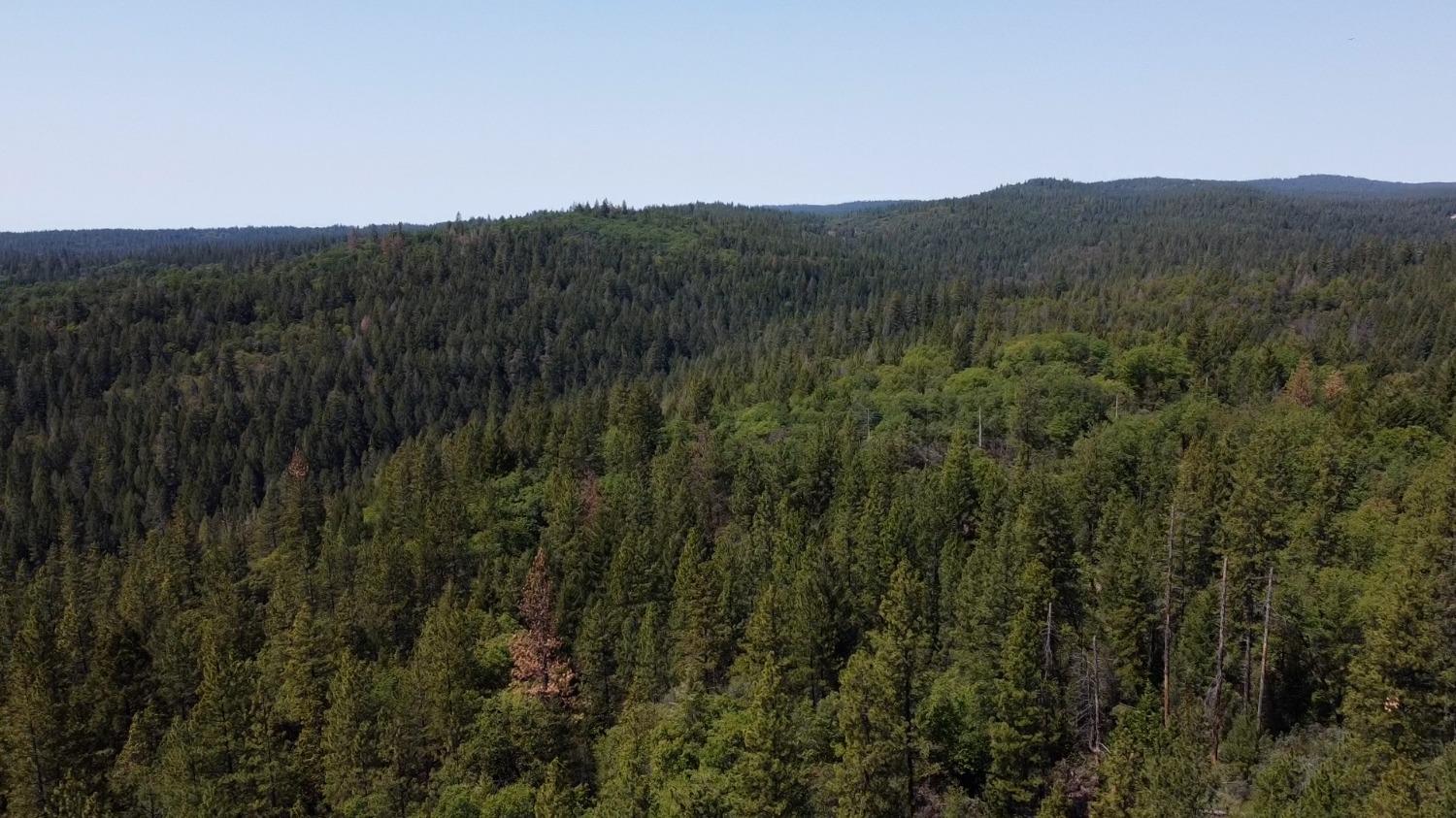 Bear Creek Road, Garden Valley, California image 6