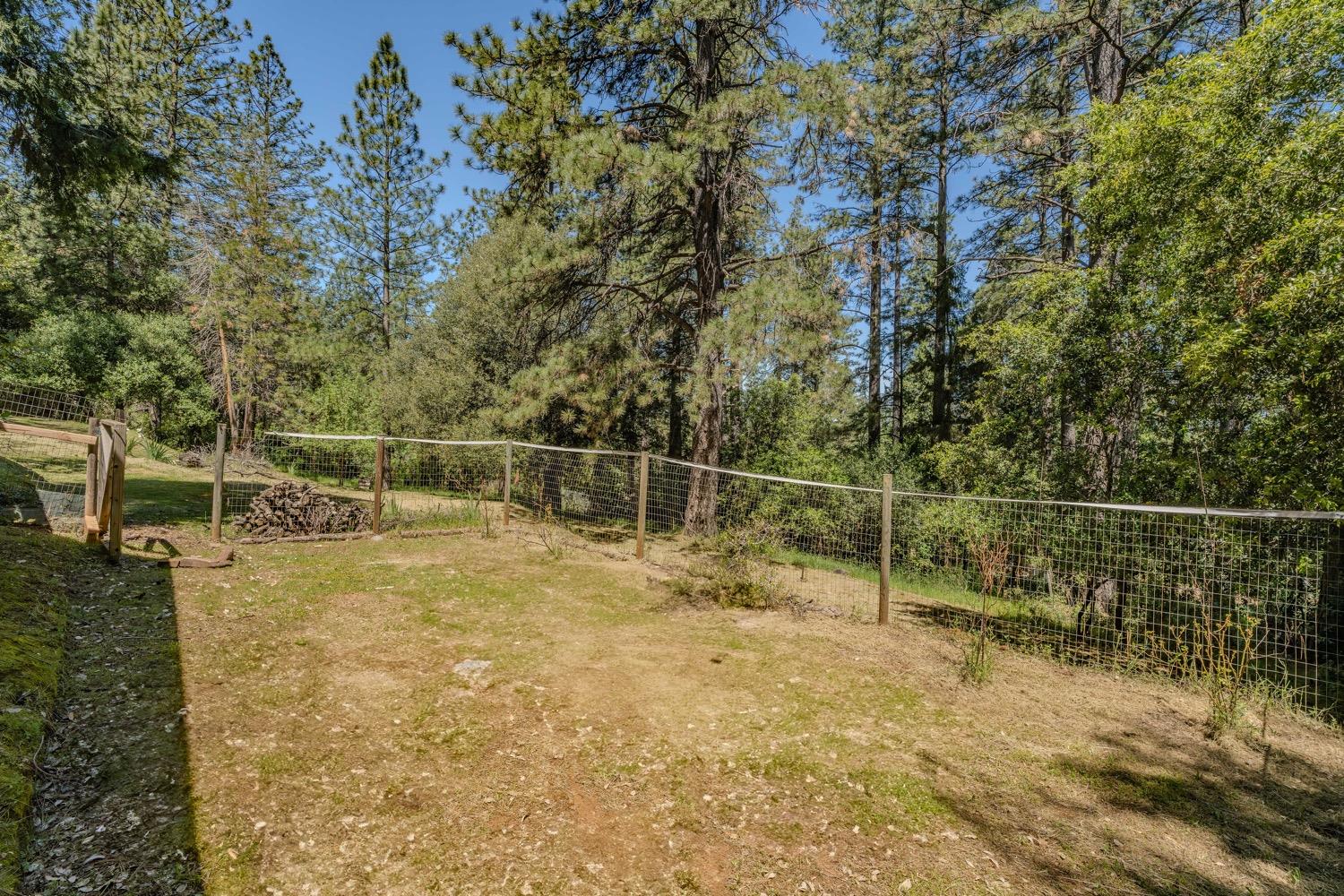 Detail Gallery Image 34 of 42 For 14178 Marc Dr, Pine Grove,  CA 95665 - 3 Beds | 1/1 Baths