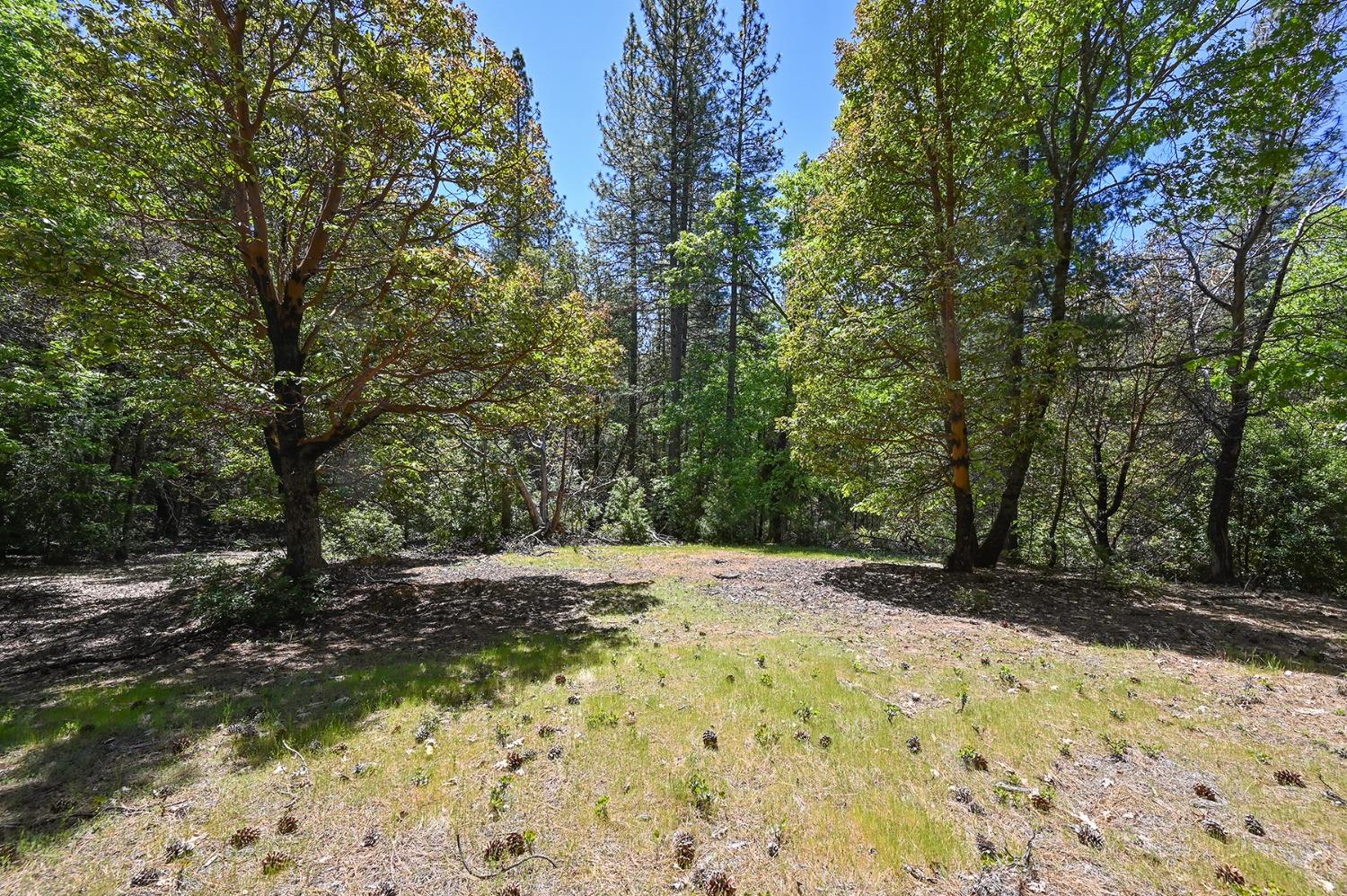 Buckeye Court, Placerville, California image 40