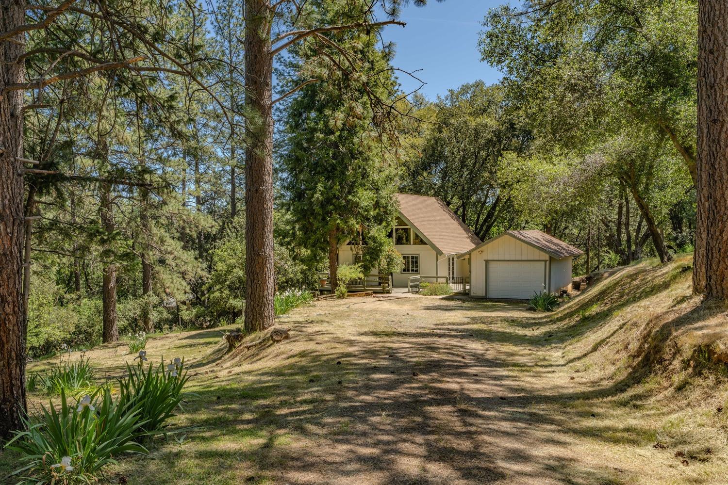 Detail Gallery Image 38 of 42 For 14178 Marc Dr, Pine Grove,  CA 95665 - 3 Beds | 1/1 Baths