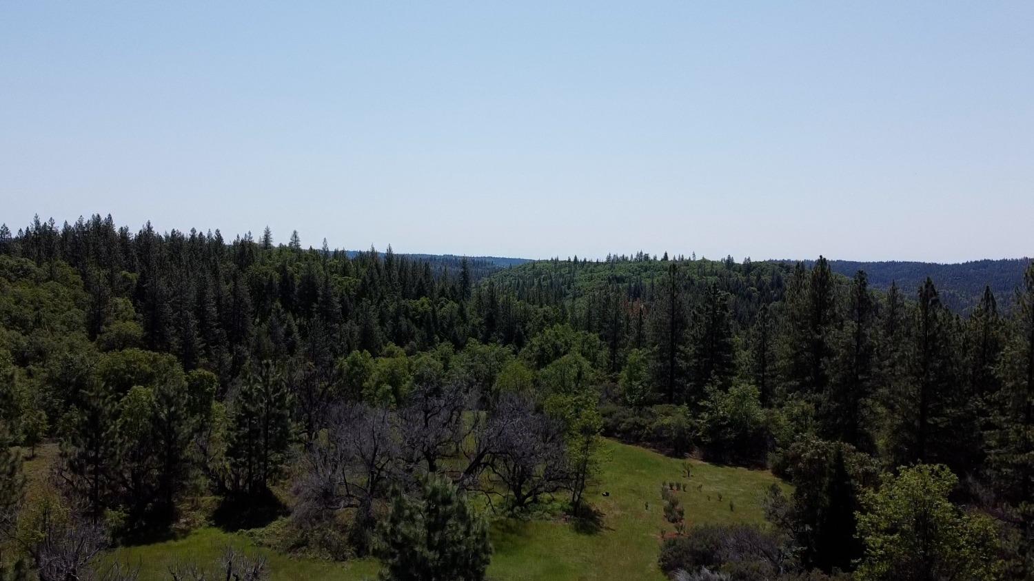 Bear Creek Road, Garden Valley, California image 11