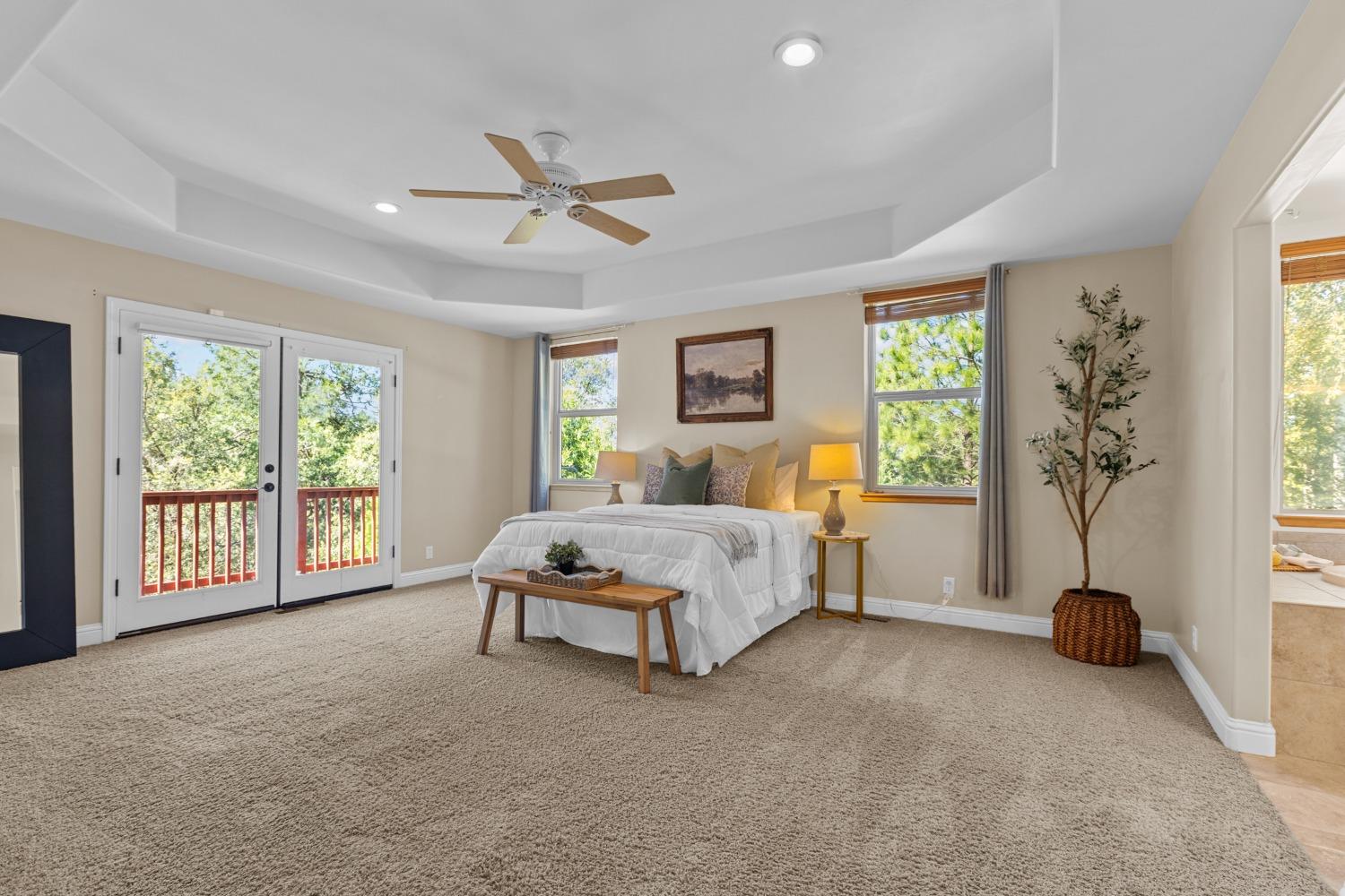 Detail Gallery Image 21 of 49 For 12381 Mierkey Ct, Jackson,  CA 95642 - 4 Beds | 2/1 Baths