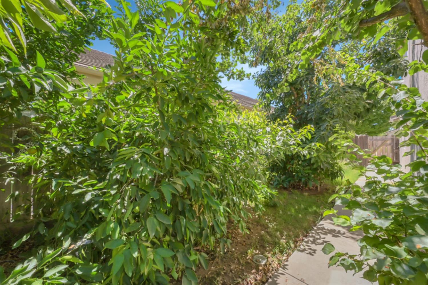 Detail Gallery Image 53 of 55 For 2327 Utah Ct, Yuba City,  CA 95991 - 5 Beds | 3 Baths