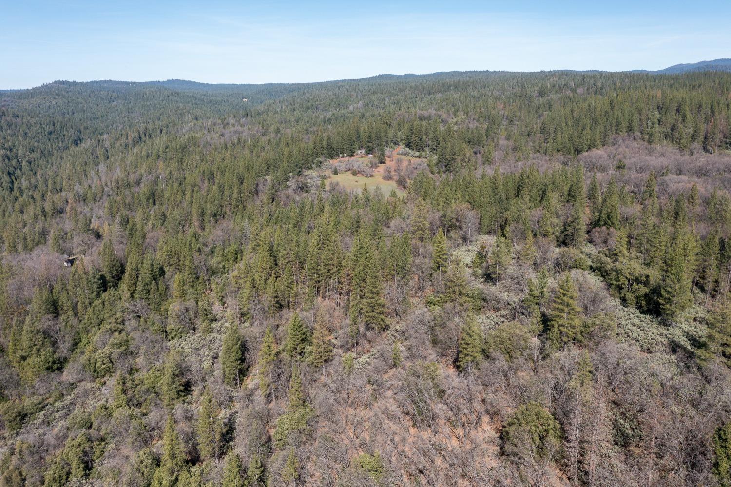 Bear Creek Road, Garden Valley, California image 20