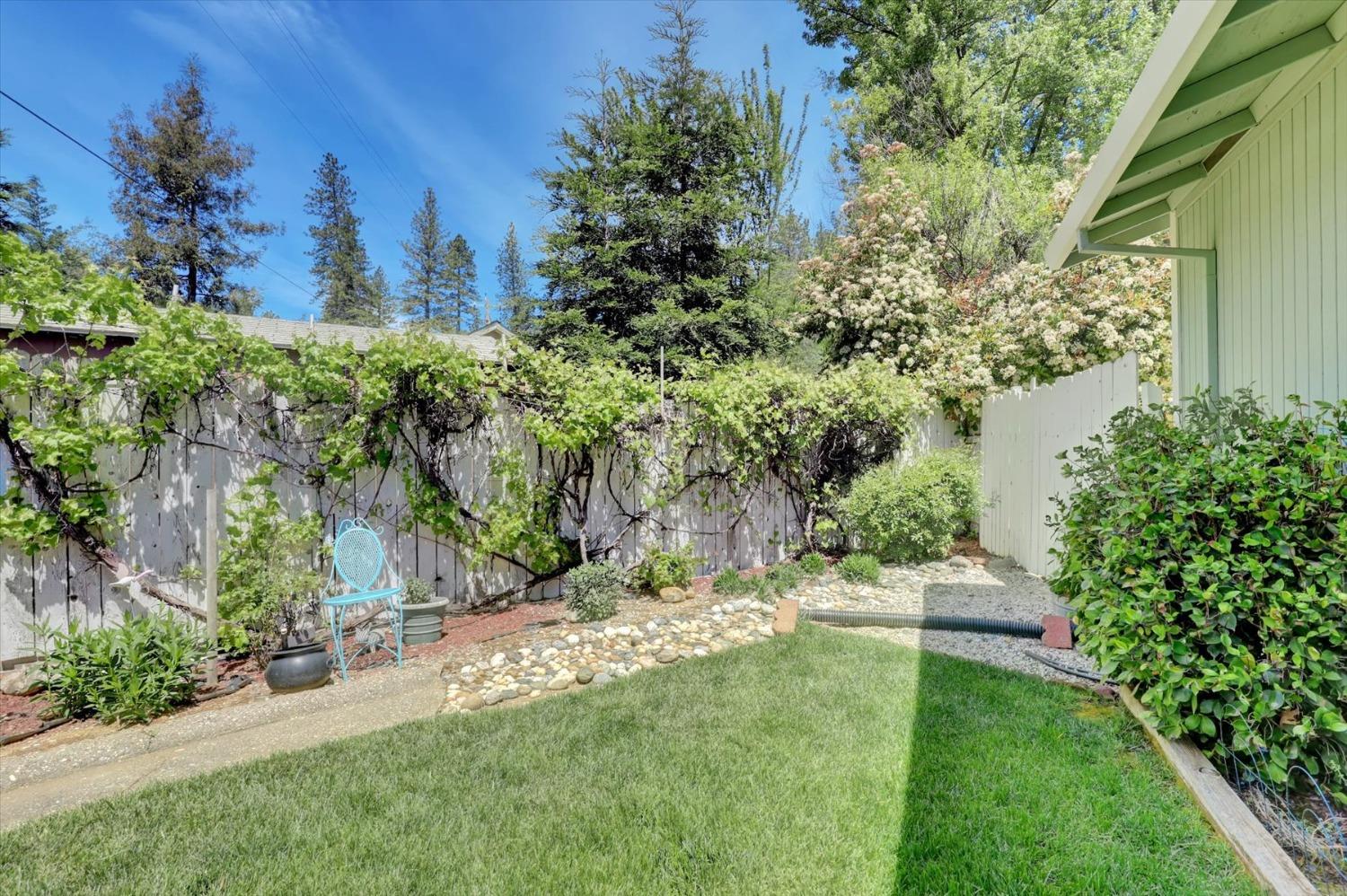 June Drive, Grass Valley, California image 50