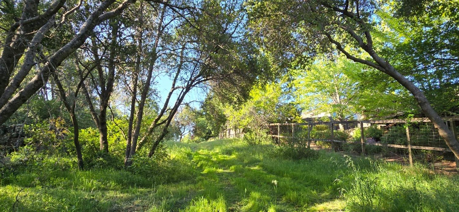 Detail Gallery Image 18 of 41 For 0 2059  Bell Rd, Auburn,  CA 95602 - – Beds | – Baths