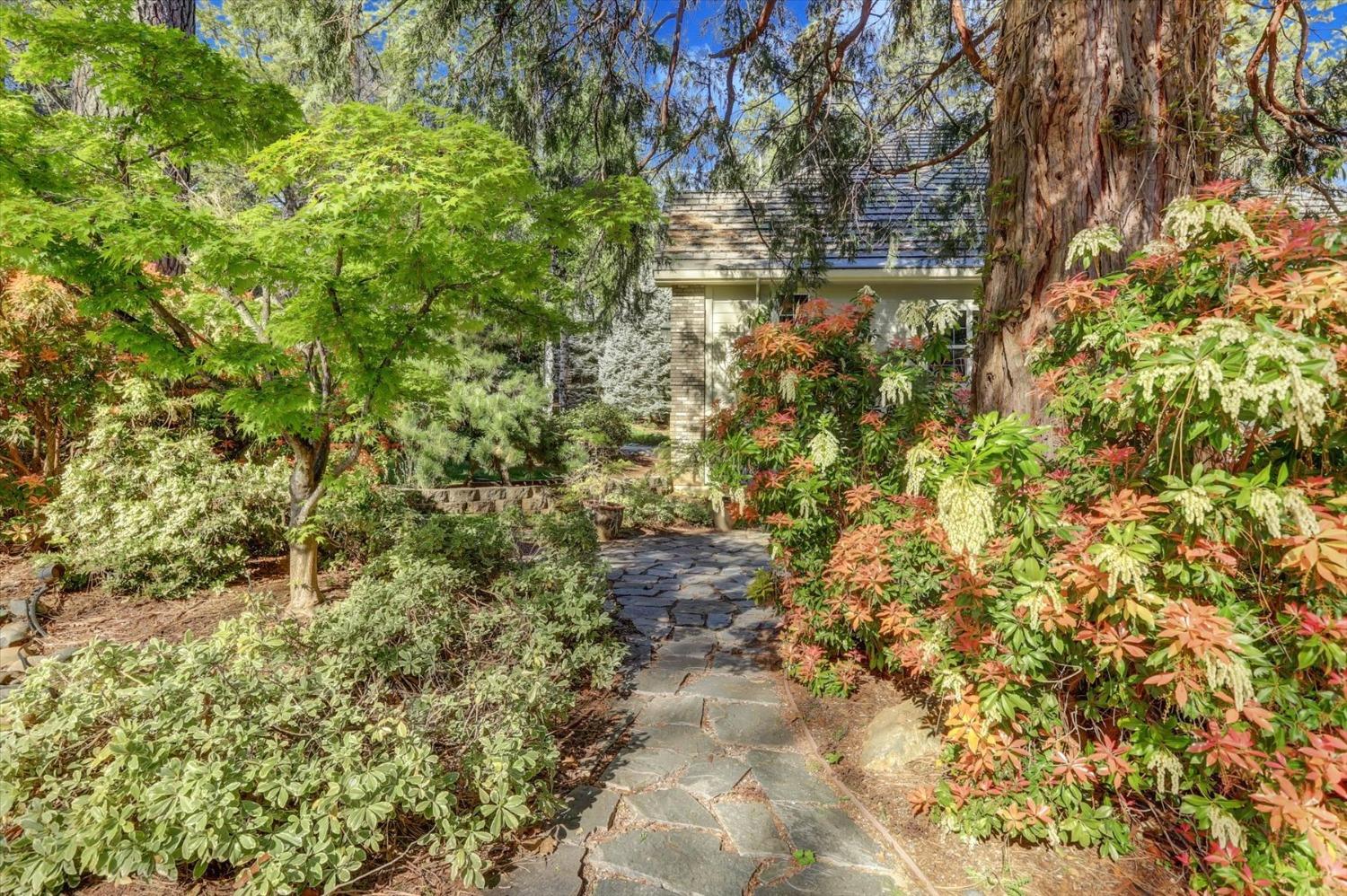 Detail Gallery Image 78 of 99 For 12857 Chatsworth Ln, Grass Valley,  CA 95945 - 4 Beds | 4/1 Baths