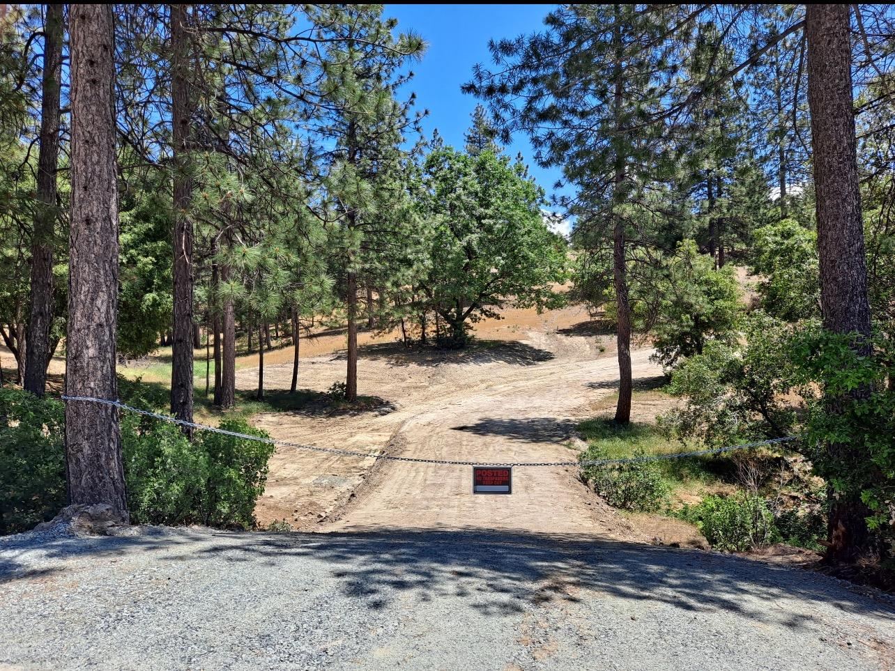 Fiske Hill Road, Coulterville, California image 1