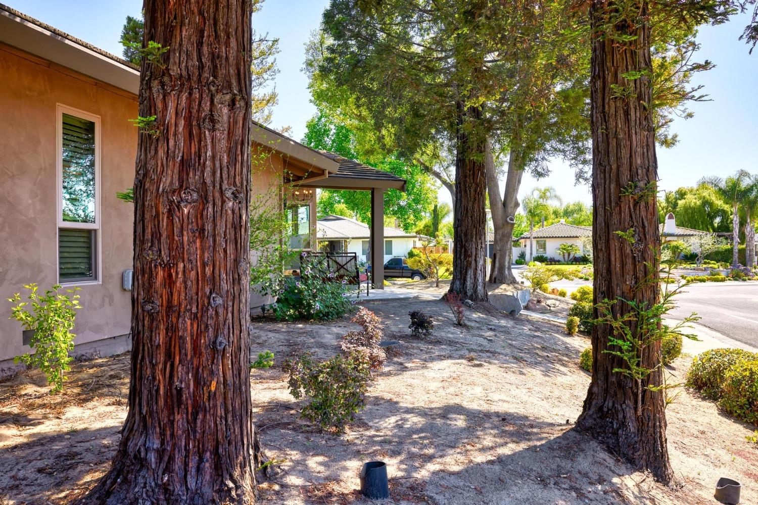 Detail Gallery Image 15 of 65 For 23271 S Pebble Beach Ln, Ripon,  CA 95366 - 3 Beds | 3 Baths