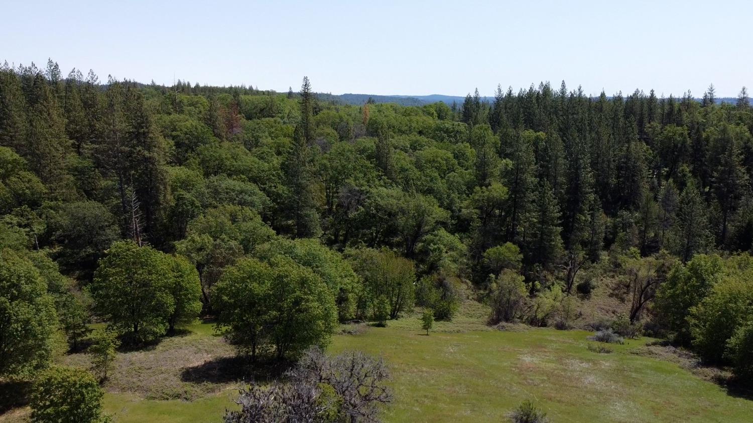 Bear Creek Road, Garden Valley, California image 10