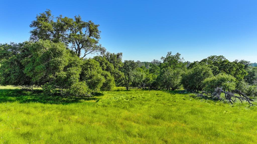 Detail Gallery Image 21 of 63 For 0 Atwood, Auburn,  CA 95603 - – Beds | – Baths