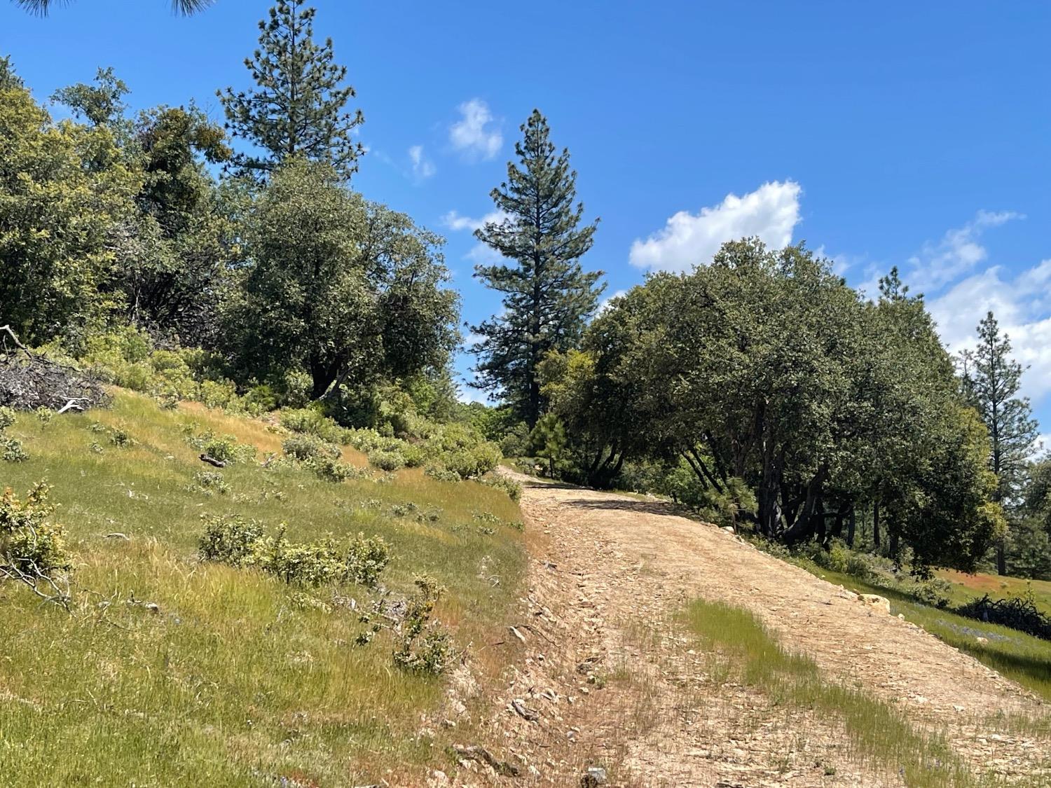 Fiske Hill Road, Coulterville, California image 7