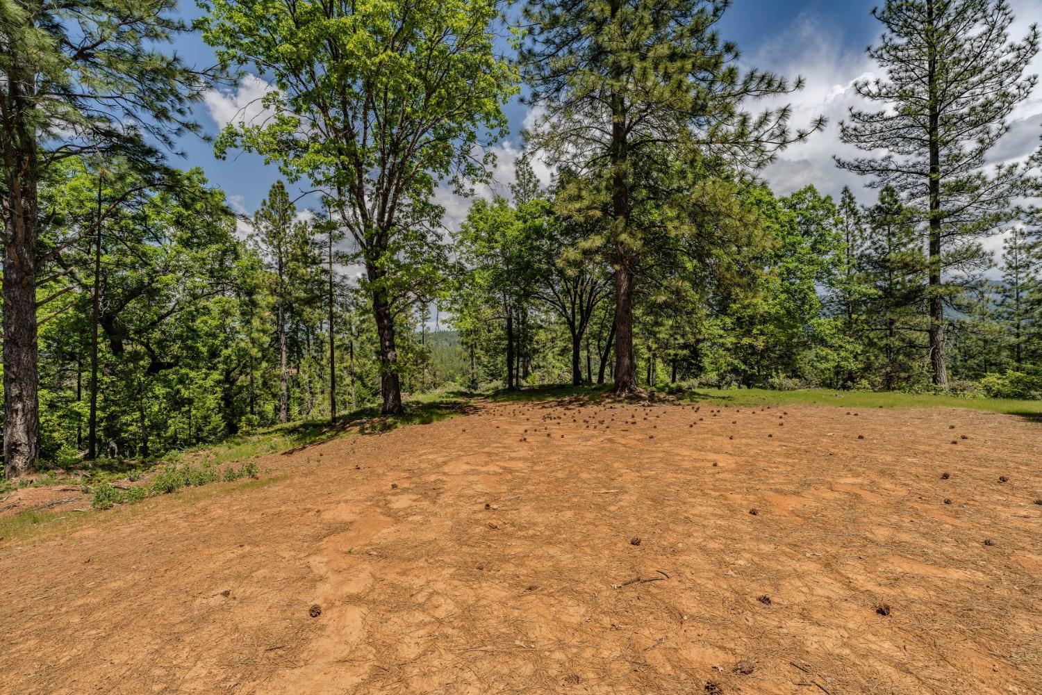 Detail Gallery Image 39 of 57 For 7250 Mitchell Mill Rd, Wilseyville,  CA 95257 - 3 Beds | 1 Baths