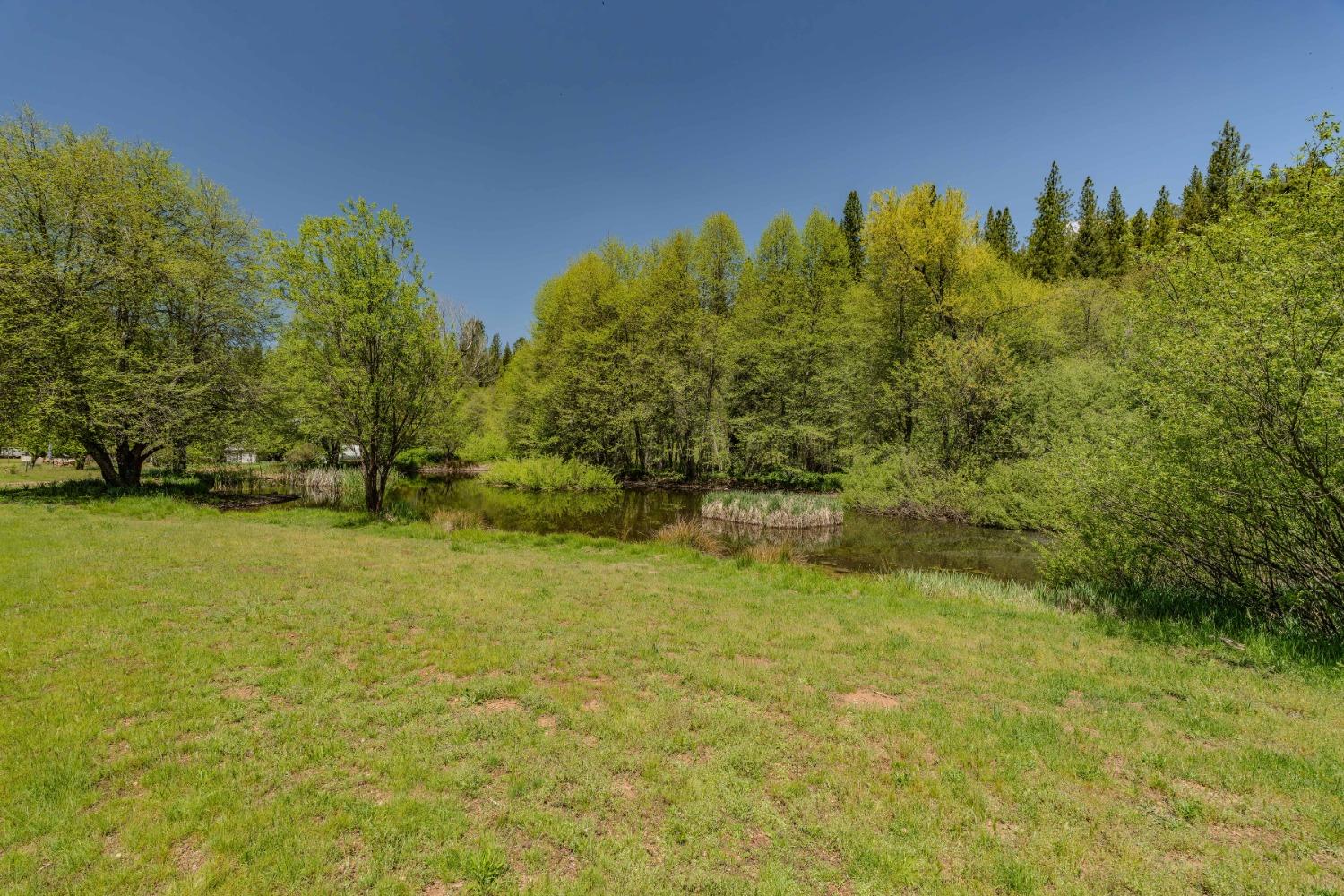 Detail Gallery Image 9 of 57 For 7250 Mitchell Mill Rd, Wilseyville,  CA 95257 - 3 Beds | 1 Baths
