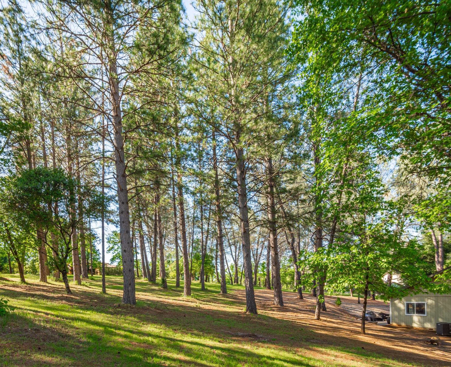 Detail Gallery Image 54 of 56 For 6570 Mosquito Rd, Placerville,  CA 95667 - 3 Beds | 2 Baths