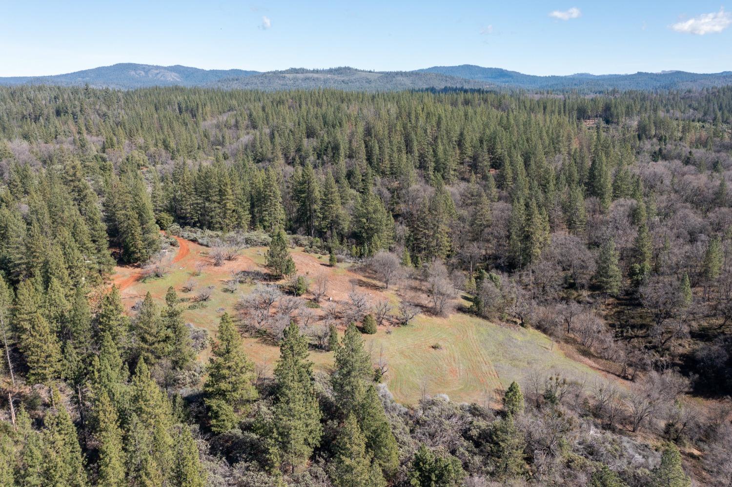 Bear Creek Road, Garden Valley, California image 3